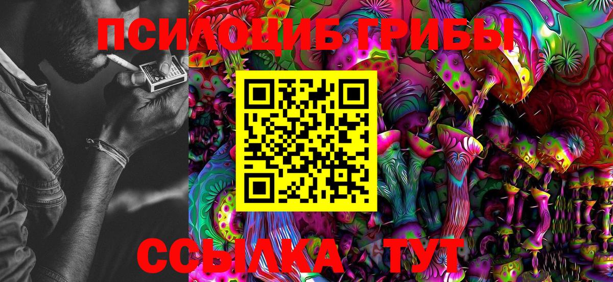 Псилоцибиновые грибы Psilocybine cubensis Королёв