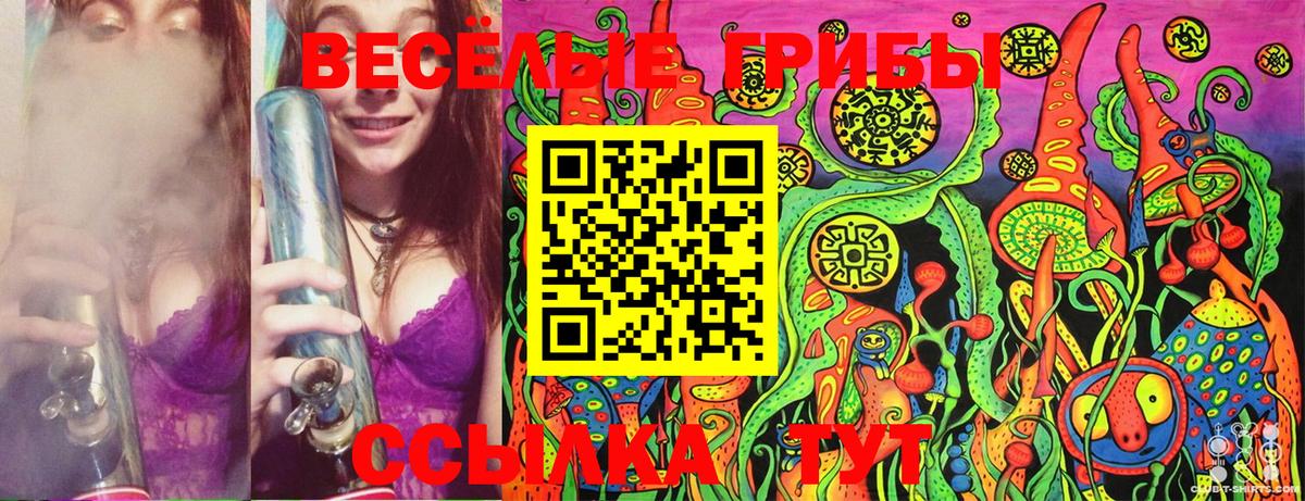 Галлюциногенные грибы Magic Shrooms  Вход с VPN  купить закладку  Королёв 