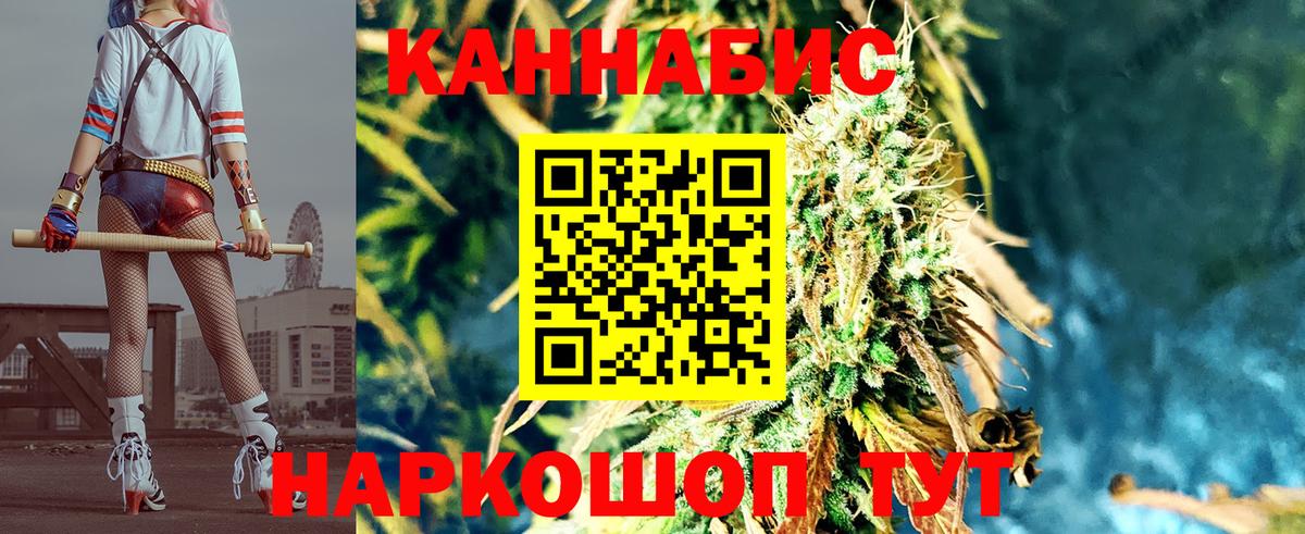 Канабис планчик Королёв